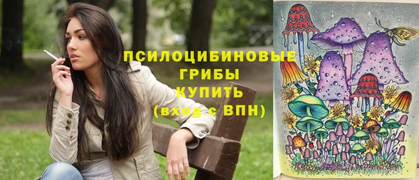 твердый Магадан